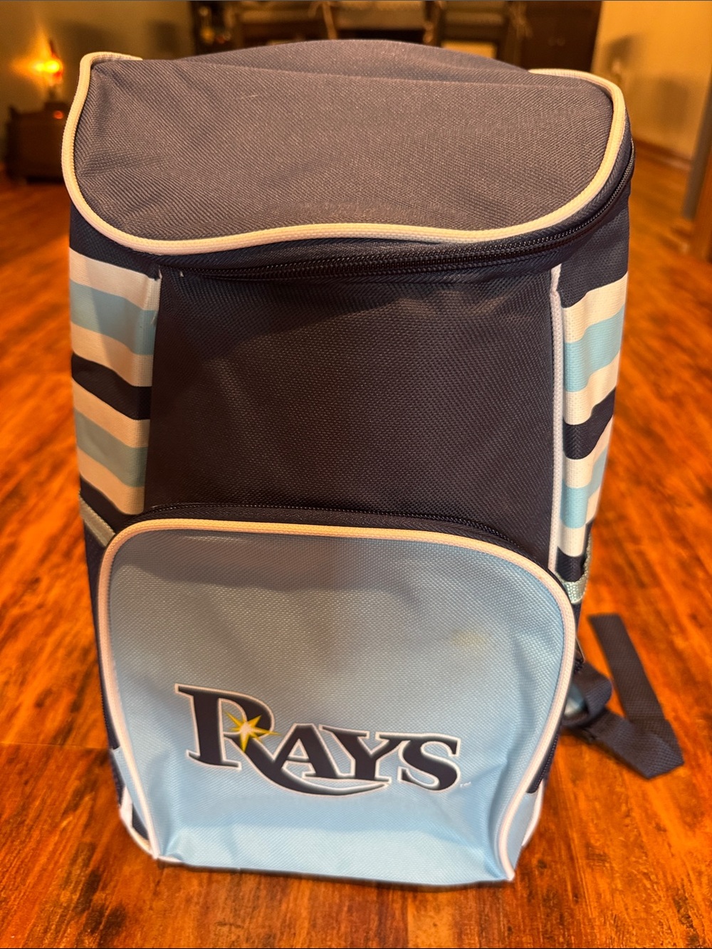 Rays Baseball Cooler Backpack
